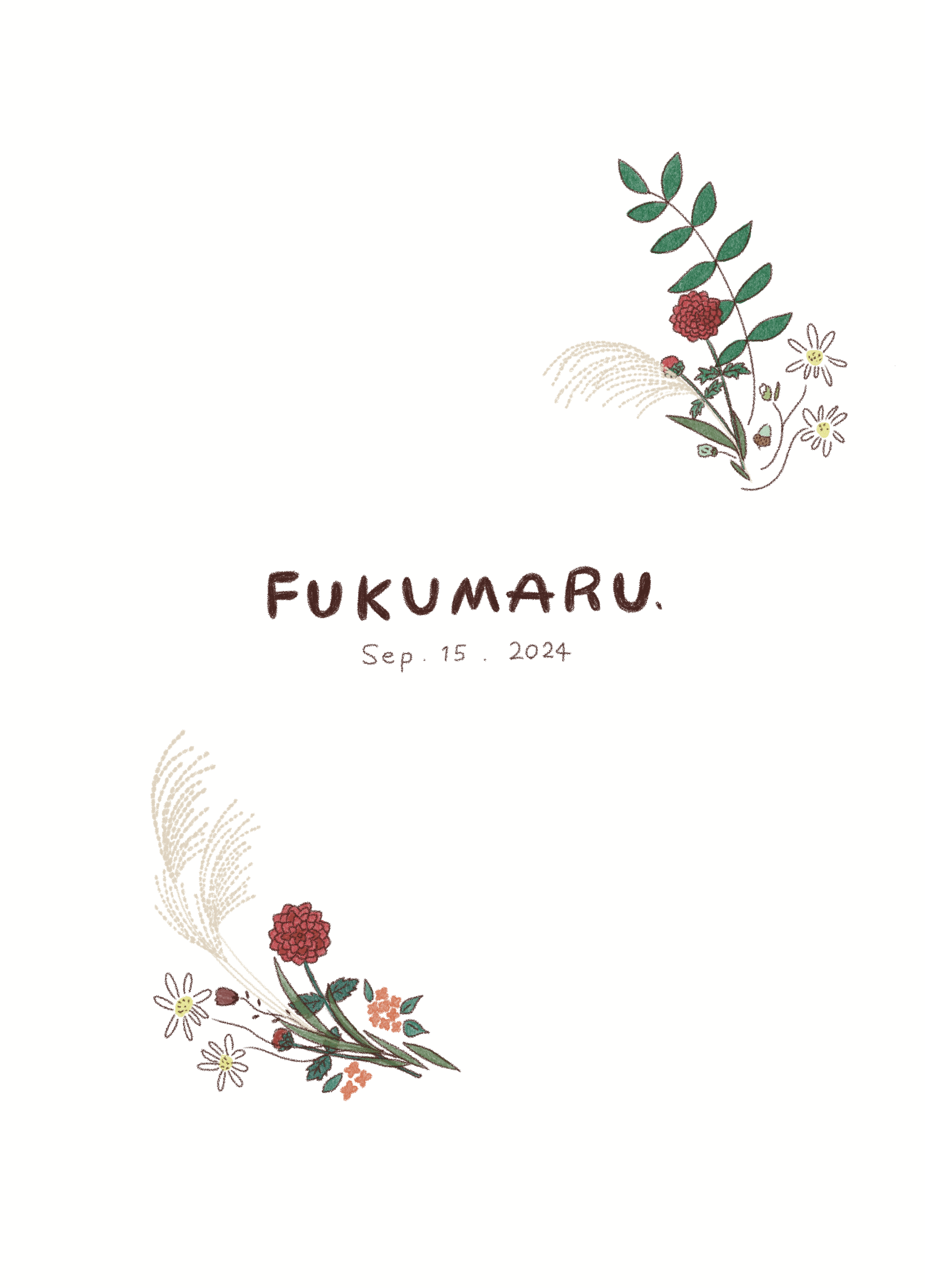 FUKUMARU. Sep. 15. 2024